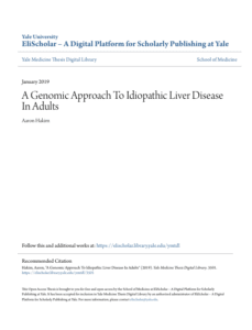 Screenshot 2025 08 04 022344