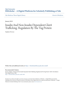 Screenshot 2025 08 04 023215