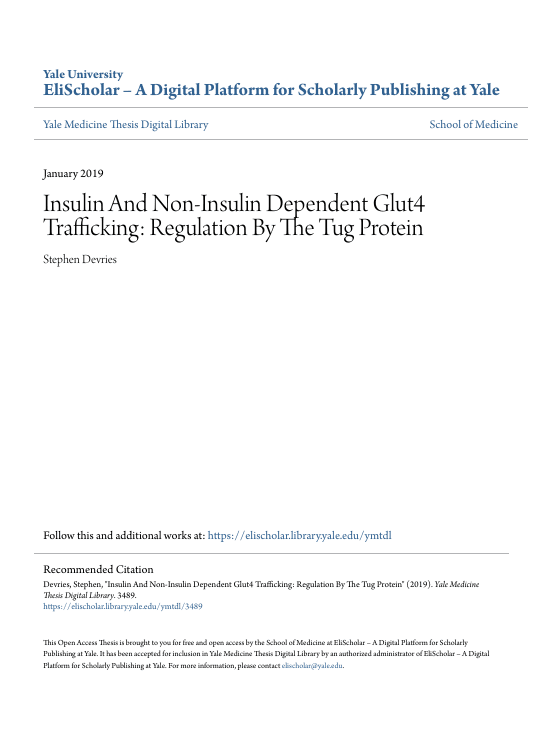 Screenshot 2025 08 04 023215