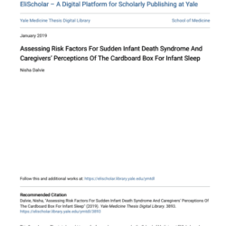 Screenshot 2025 08 04 023403