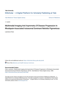 Screenshot 2025 08 04 024249