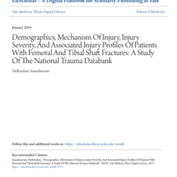 Screenshot 2025 08 04 024445