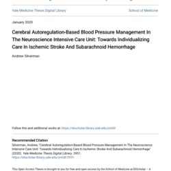 Screenshot 2025 08 04 024915