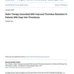 Screenshot 2025 08 04 031744