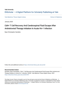 Screenshot 2025 08 04 031928