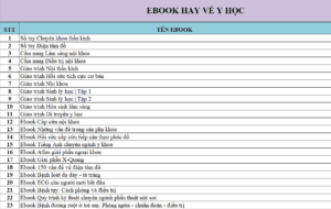 Screenshot 2025 08 04 033549