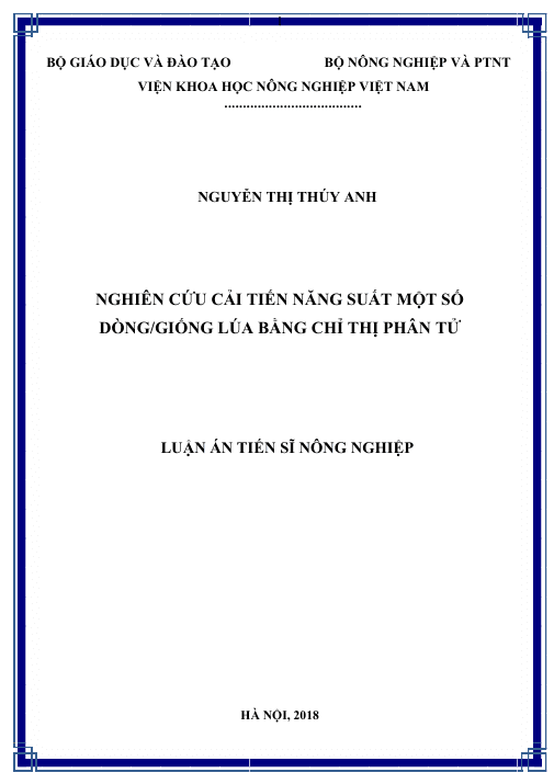 Screenshot 2025 08 22 041243