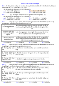 Anh chup man hinh 2025 09 02 170710