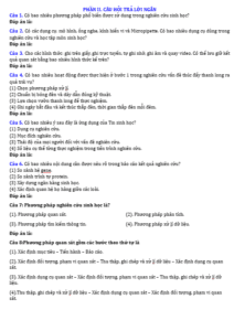 Anh chup man hinh 2025 09 02 184812