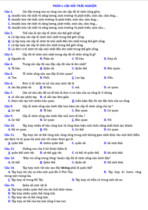 Anh chup man hinh 2025 09 02 185526