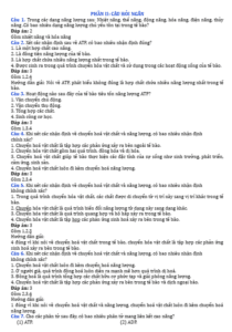 Anh chup man hinh 2025 09 03 112249