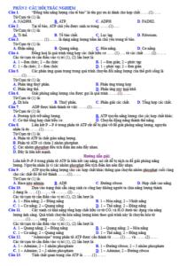 Anh chup man hinh 2025 09 03 112413