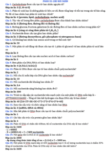 Anh chup man hinh 2025 09 03 144645