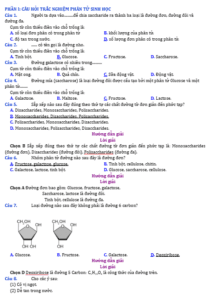 Anh chup man hinh 2025 09 03 145032