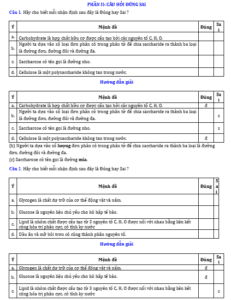 Anh chup man hinh 2025 09 03 145223