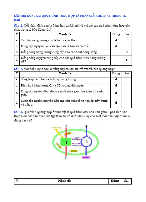 Anh chup man hinh 2025 09 03 145531