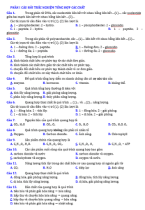 Anh chup man hinh 2025 09 03 145851