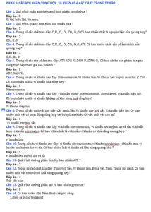 Anh chup man hinh 2025 09 03 150022