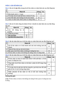 Anh chup man hinh 2025 09 03 150335