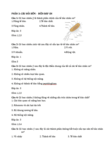 Anh chup man hinh 2025 09 03 150510