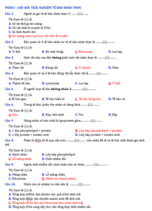 Anh chup man hinh 2025 09 03 151046