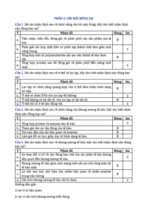 Anh chup man hinh 2025 09 03 151216