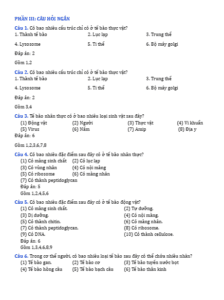 Anh chup man hinh 2025 09 03 151421