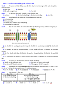 Anh chup man hinh 2025 09 03 152223