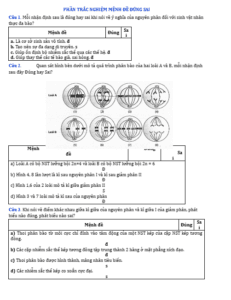 Anh chup man hinh 2025 09 03 152647