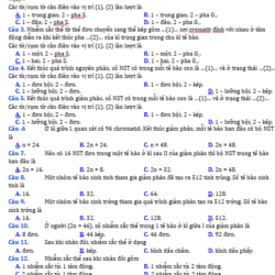 Anh chup man hinh 2025 09 03 152834