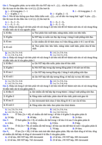 Anh chup man hinh 2025 09 03 153246