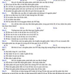 Anh chup man hinh 2025 09 03 153337