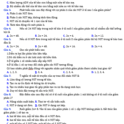 Anh chup man hinh 2025 09 03 153510