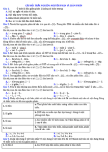 Anh chup man hinh 2025 09 03 153639