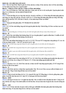 Anh chup man hinh 2025 09 03 153818