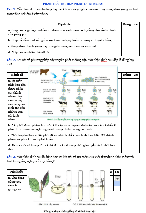 Anh chup man hinh 2025 09 03 154024