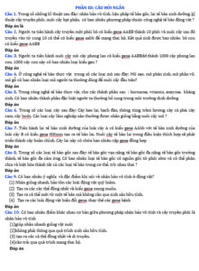 Anh chup man hinh 2025 09 03 154203