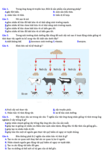 Anh chup man hinh 2025 09 03 154602