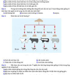 Anh chup man hinh 2025 09 03 154602