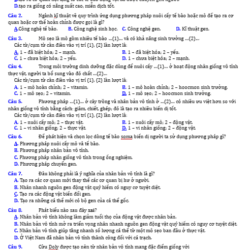 Anh chup man hinh 2025 09 03 154809