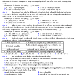 Anh chup man hinh 2025 09 03 154958