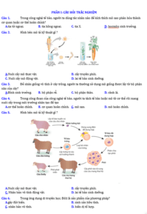 Anh chup man hinh 2025 09 03 155144