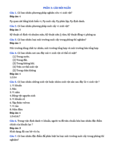 Anh chup man hinh 2025 09 03 160228