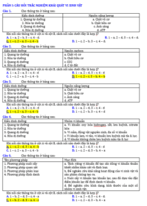 Anh chup man hinh 2025 09 03 160402