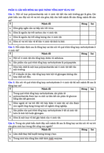 Anh chup man hinh 2025 09 03 161445