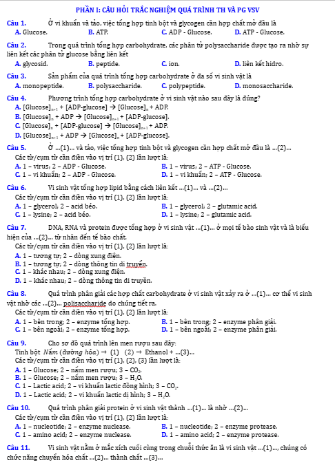 Anh chup man hinh 2025 09 03 161831