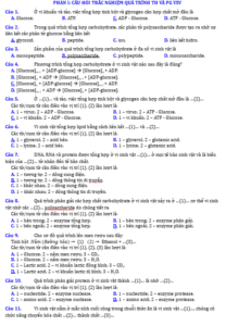 Anh chup man hinh 2025 09 03 162521