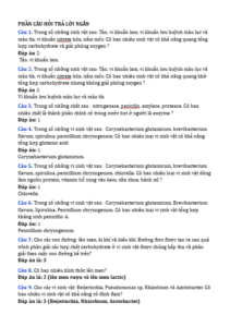 Anh chup man hinh 2025 09 03 162824