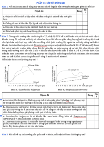 Anh chup man hinh 2025 09 03 163035