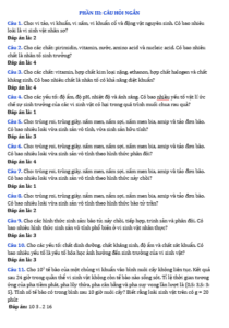 Anh chup man hinh 2025 09 03 171521